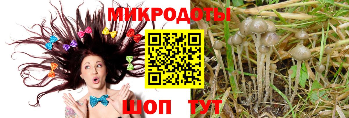 закладки  Вход с VPN  Малгобек  Галлюциногенные грибы мицелий 
